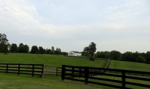 Kentucky Farm 