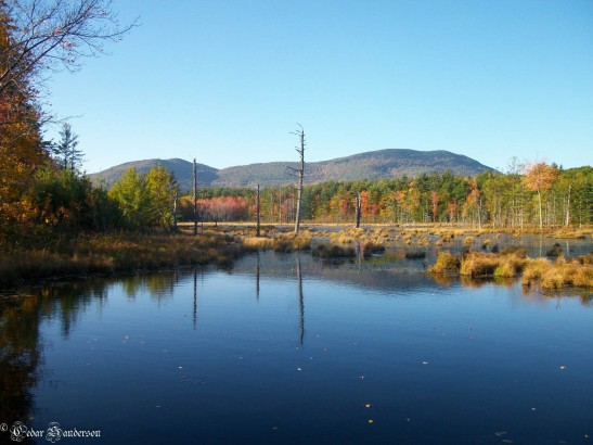 New Hampshire Pond